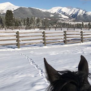 Meet your Posher, Donna